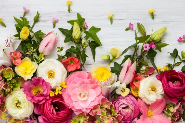 Shop flowers by occasion